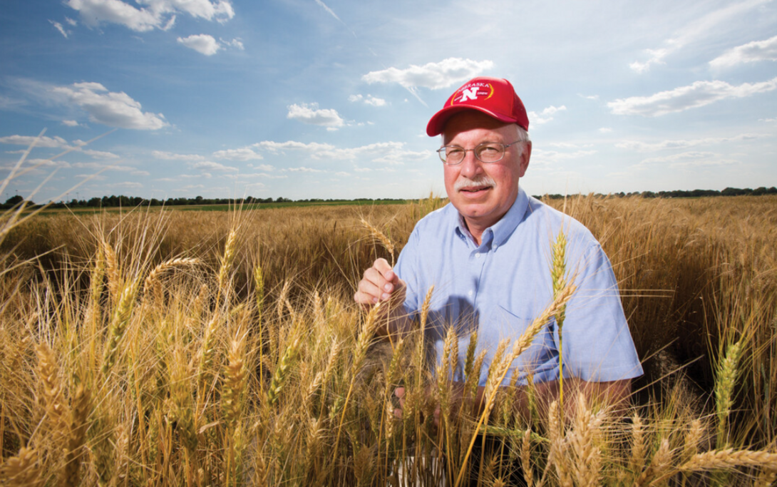 P. Stephen Baenziger in a wheat field.